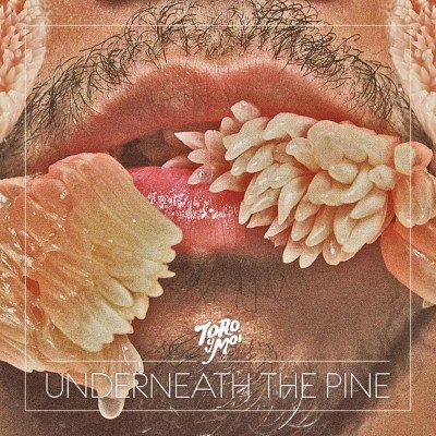 Toro y Moi- Underneath The Pine