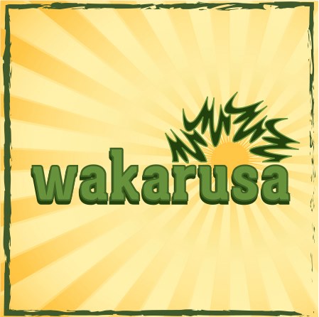 Wakarusa 2013